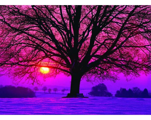 Desk Calendar DC11